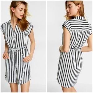 Express Button Down Stipe Shirt Dress